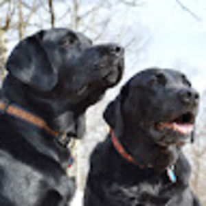 Meet your Posher, Kaleb